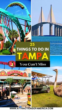 25 things to do in Tampa You can't miss Usa Florida, Busch Gardens, Enjoy Nature, Tampa Florida, Tampa Fl