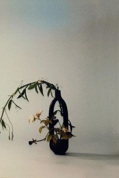 a black vase with flowers in it sitting on a white table next to a wall