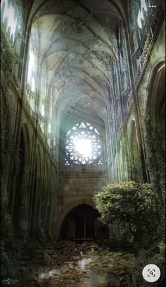 the interior of an abandoned cathedral with sunlight streaming through the windows and ivy growing on the walls