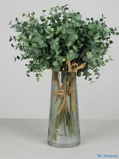 a glass vase filled with green plants on top of a table