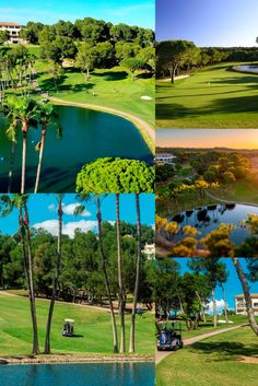 four different views of the golf course, including water and palm trees in various locations