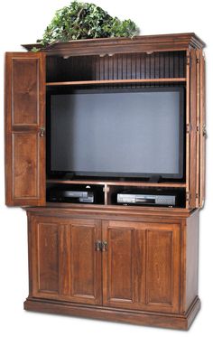 a wooden entertainment center with a television on it's side and plants growing out of the top shelf