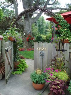 an outdoor garden area with potted plants and wooden fenced in areas that include trees, shrubs, and flowers