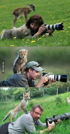 a man is taking pictures with his camera and cat on the grass, while another person holds