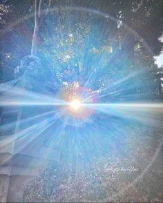 the sun shines brightly through trees in this artistic photo taken on a sunny day