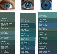 the different shades of blue eyes are shown in this graphic diagram, which shows how they look