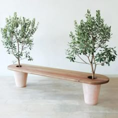 two potted trees sitting on top of a wooden bench