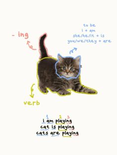 a drawing of a cat laying down with the words i am playing in front of it