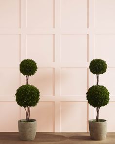 two potted plants sitting next to each other on top of a wooden table in front of a pink wall