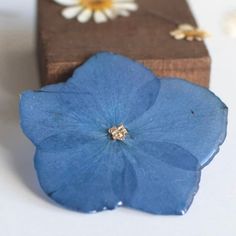 Brooch with Blue Hydrangea and Golden Bread Give a unique and sophisticated touch to your look with this elegant pressed blue hydrangea brooch and gold leaf details. Ideal to enhance any outfit and stand out from the crowd with style.  Features:  * Exclusive design: Each brooch is unique due to the natural variations of the petals.  * Quality materials: Natural pressed flower and gold leaf, guaranteeing a beautiful and durable finish.  * Versatile: Perfect for any occasion, from formal events to Sapphire Flower-shaped Jewelry For Gifts, Light Blue Flower-shaped Jewelry For Gifts, Formal Blue Flower Brooch, Blue Floral Print Flower-shaped Jewelry, Cute Brooch, Blue Hydrangea Flowers, Gift Idea For Women, Blue Flower-shaped Jewelry Brooch, Hydrangea Flower