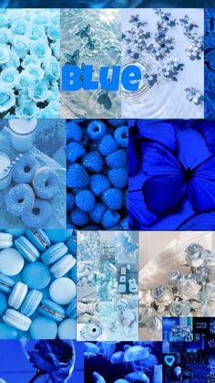 blue is the color of the year in this collage with images of flowers, butterflies and buttons