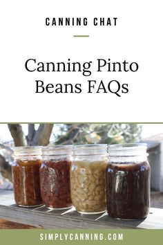 canning pinto beans in mason jars with text overlay reading canning pinto beans q's