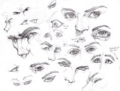 a bunch of different types of eyes and their features are drawn in pencil on paper