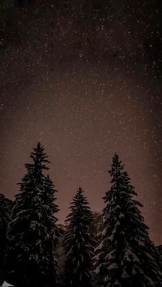 the night sky is filled with stars and snow covered evergreen trees are silhouetted in the foreground