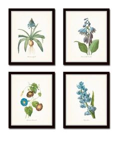 four framed pictures with blue flowers and green leaves