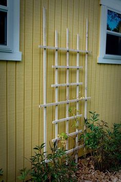 a white trellis sitting next to a yellow building