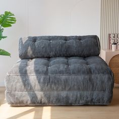 a gray couch sitting on top of a wooden floor next to a potted plant