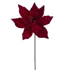 a large red flower on a white background