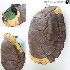 two pictures of an old tortoise shell, one is green and the other is brown