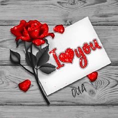 a red rose sitting on top of a piece of paper with the words i love you and hearts