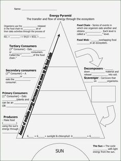 the food pyramid worksheet is shown in this graphic diagram, which shows how to make