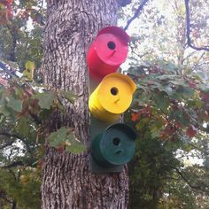 three colorful bird houses hanging from a tree