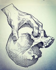 a drawing of a human skull is shown