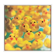 many yellow rubber ducks are in a row and one is looking up at the camera