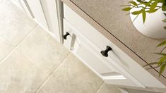 a close up of a bathroom sink with a plant on the counter next to it