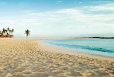 a sandy beach with palm trees on the shore and blue water in the foreground