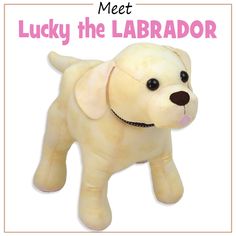 a stuffed dog with the words meet lucky the labrador on it's back side