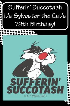 an image of a cartoon character with the caption saying suferin succotash it's sylvetter the cat's 79th birthday