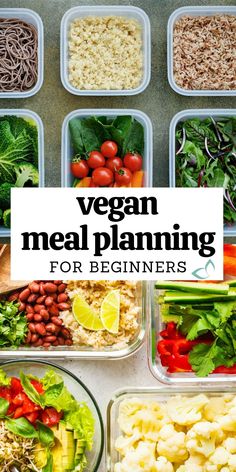 vegan meal planning for beginners