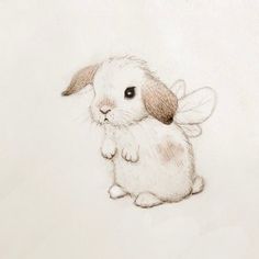 a pencil drawing of a bunny sitting on its hind legs