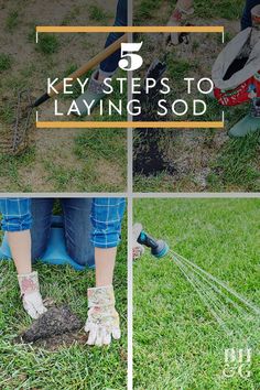 the steps to laying sod are shown in four different pictures, with text overlaying