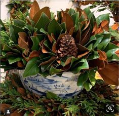 a large potted plant with leaves and a pine cone on it's top