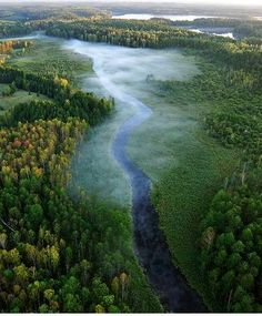 an aerial view of a river in the middle of a forest with fog hanging over it