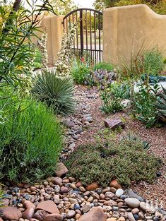 a garden filled with lots of rocks and plants