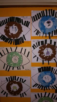 four pictures of different types of eyes on a bulletin board with black and white stripes