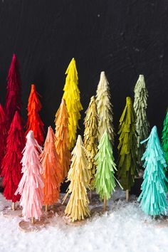 there are many different colored trees on the snow covered ground in front of a black background