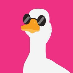 a white duck with sunglasses on it's head