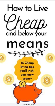 a pig with the words how to live cheap and below your mean's stuff