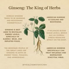 a poster describing the benefits of ginseng