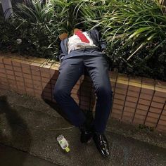 a man laying on the ground next to a brick wall with plants growing behind him