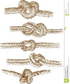 set of hand drawn ropes with knots on white background stock photo royaltyvectors