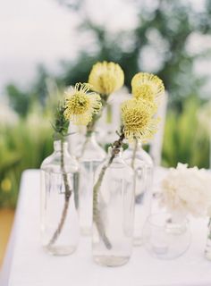 several vases filled with yellow flowers sitting on top of a white table covered in greenery