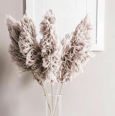 a vase filled with fluffy white flowers on top of a table