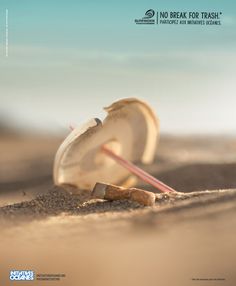 a broken glass bottle sitting on top of a sandy beach next to a wooden stick