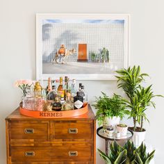 an old dresser is filled with liquor bottles and plants