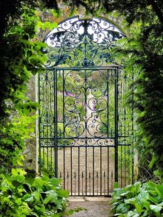 an iron gate is surrounded by lush green foliage